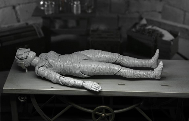 Bride of Frankenstein Black and White Version 7-inch Scale | Bride of Frankenstein (1935) | NECA