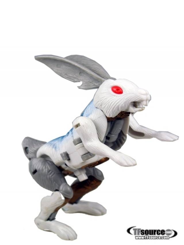C-31 Stampy Basic Class | Transformers Beast Wars Neo