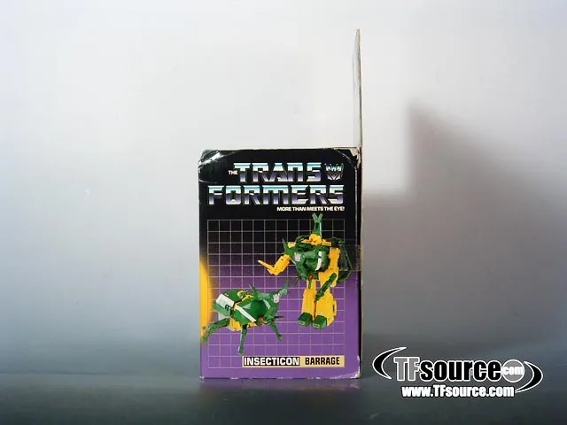 Barrage Insecticon Vintage Transformers G1