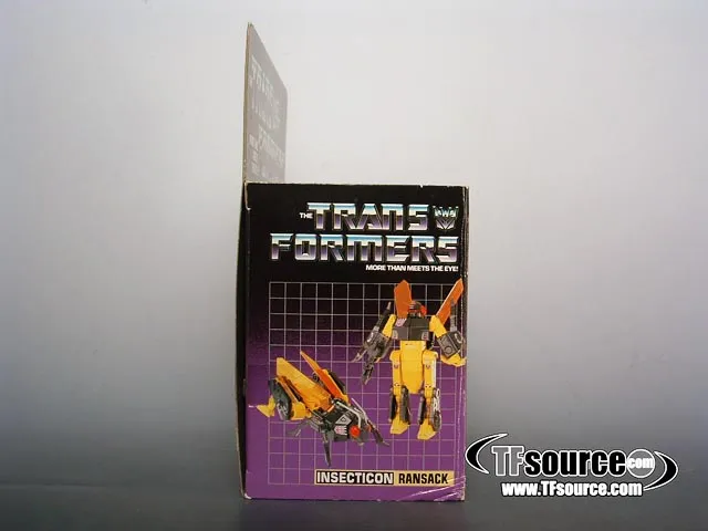 Ransack Insecticon Vintage Transformers G1
