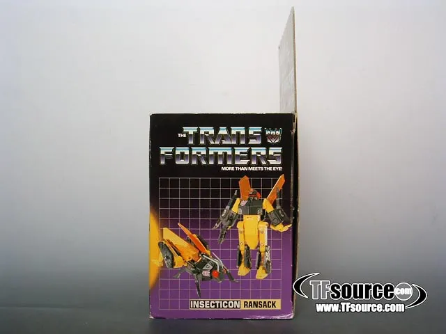 Ransack Insecticon Vintage Transformers G1