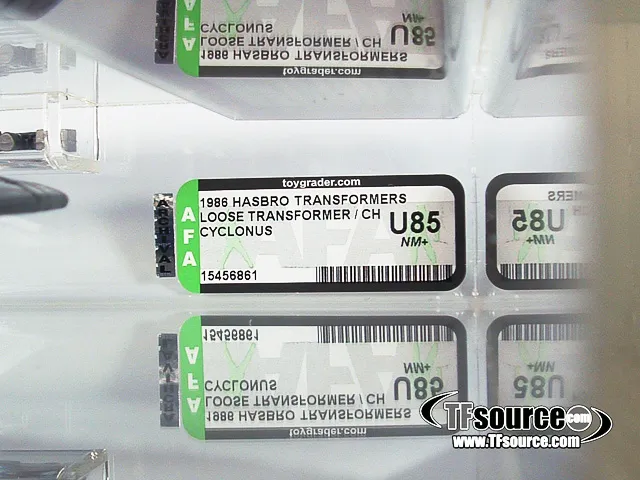 Loose Cyclonus AFA 85 U85