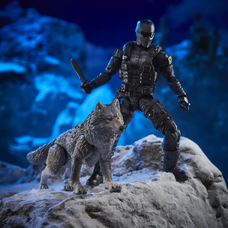 Snake Eyes and Timber Wolf 6-Inch Scale | G.I. Joe Classified Series