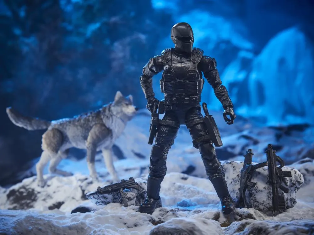 Snake Eyes and Timber Wolf 6-Inch Scale | G.I. Joe Classified Series
