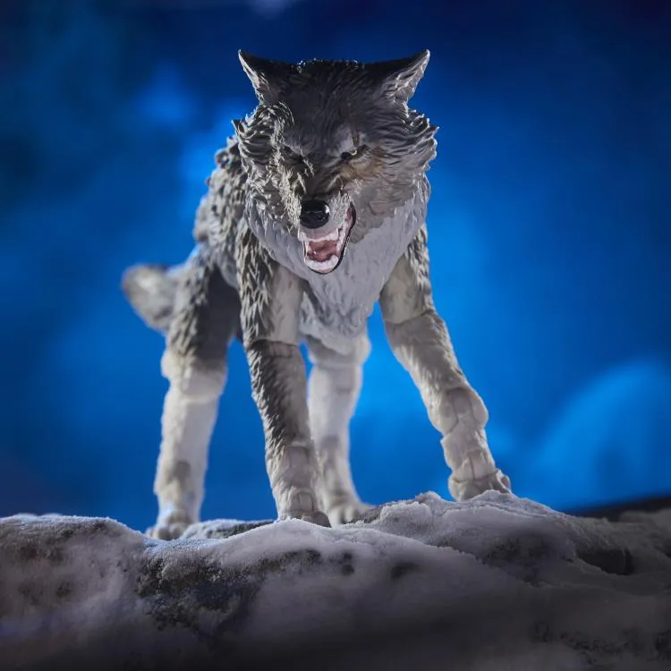 Snake Eyes and Timber Wolf 6-Inch Scale | G.I. Joe Classified Series