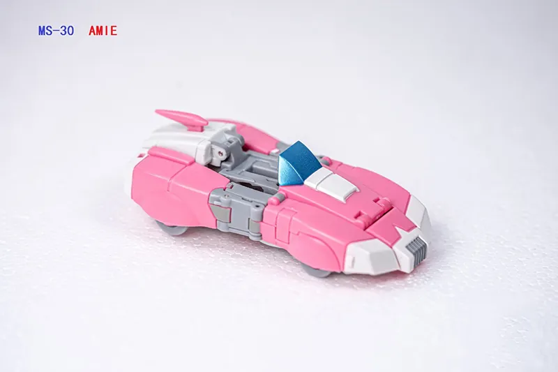 MS-30 Amie | Dr. Wu