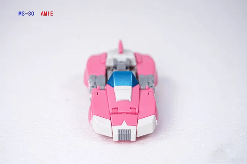 MS-30 Amie | Dr. Wu