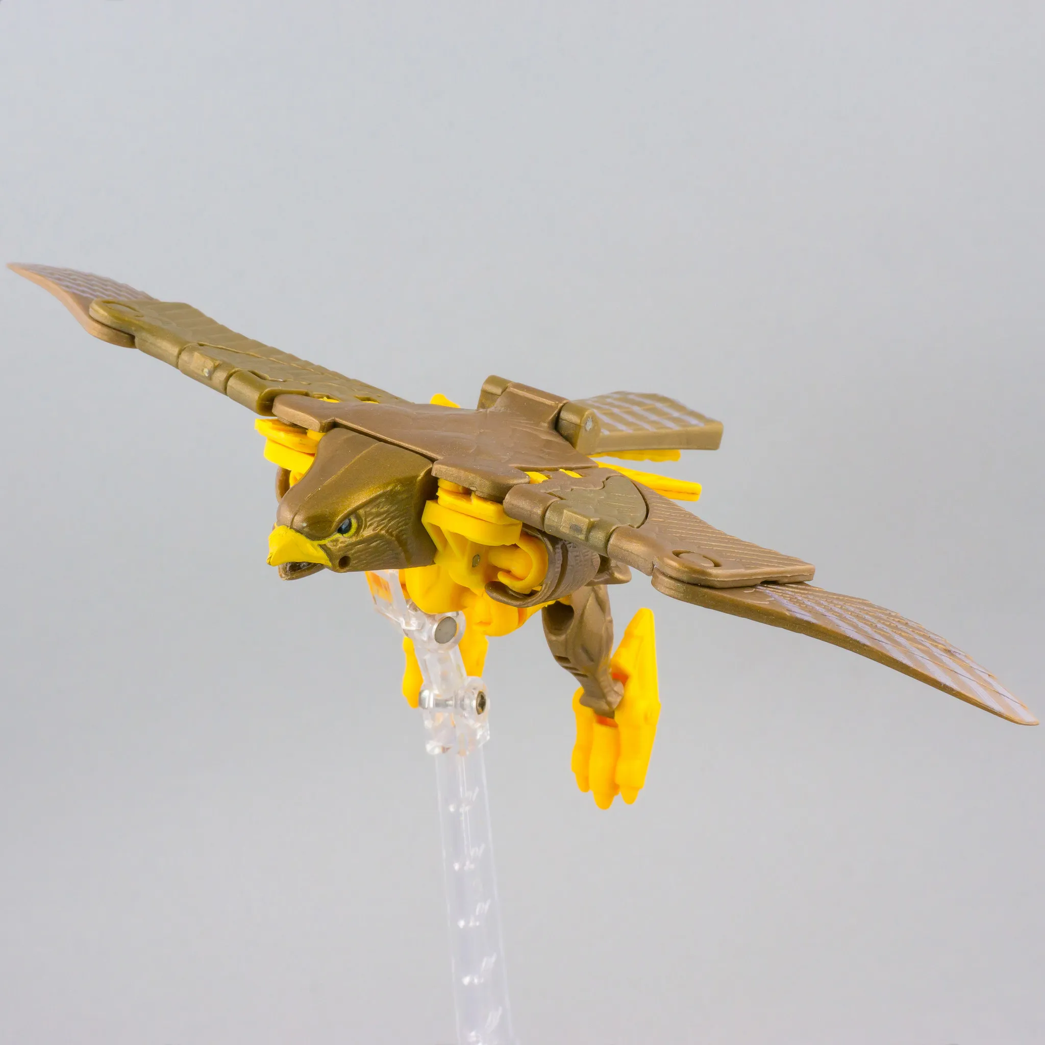 Airazor Basic Class | Transformers Beast Wars