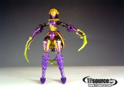 Deluxe Class Blackarachnia | Transformers Beast Machines